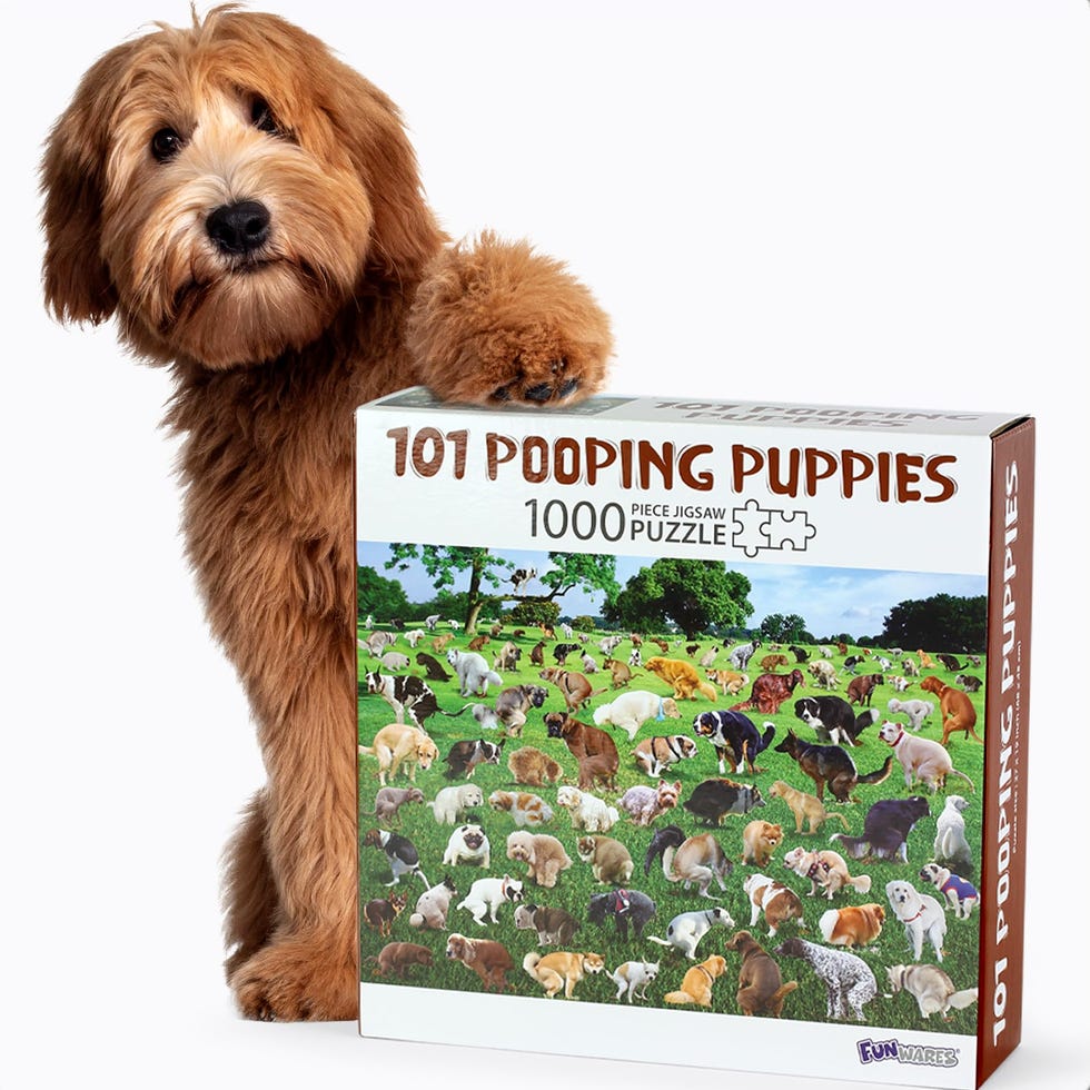 101 Pooping Puppies Puzzle