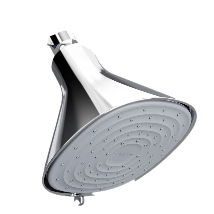 Filtered Shower Head