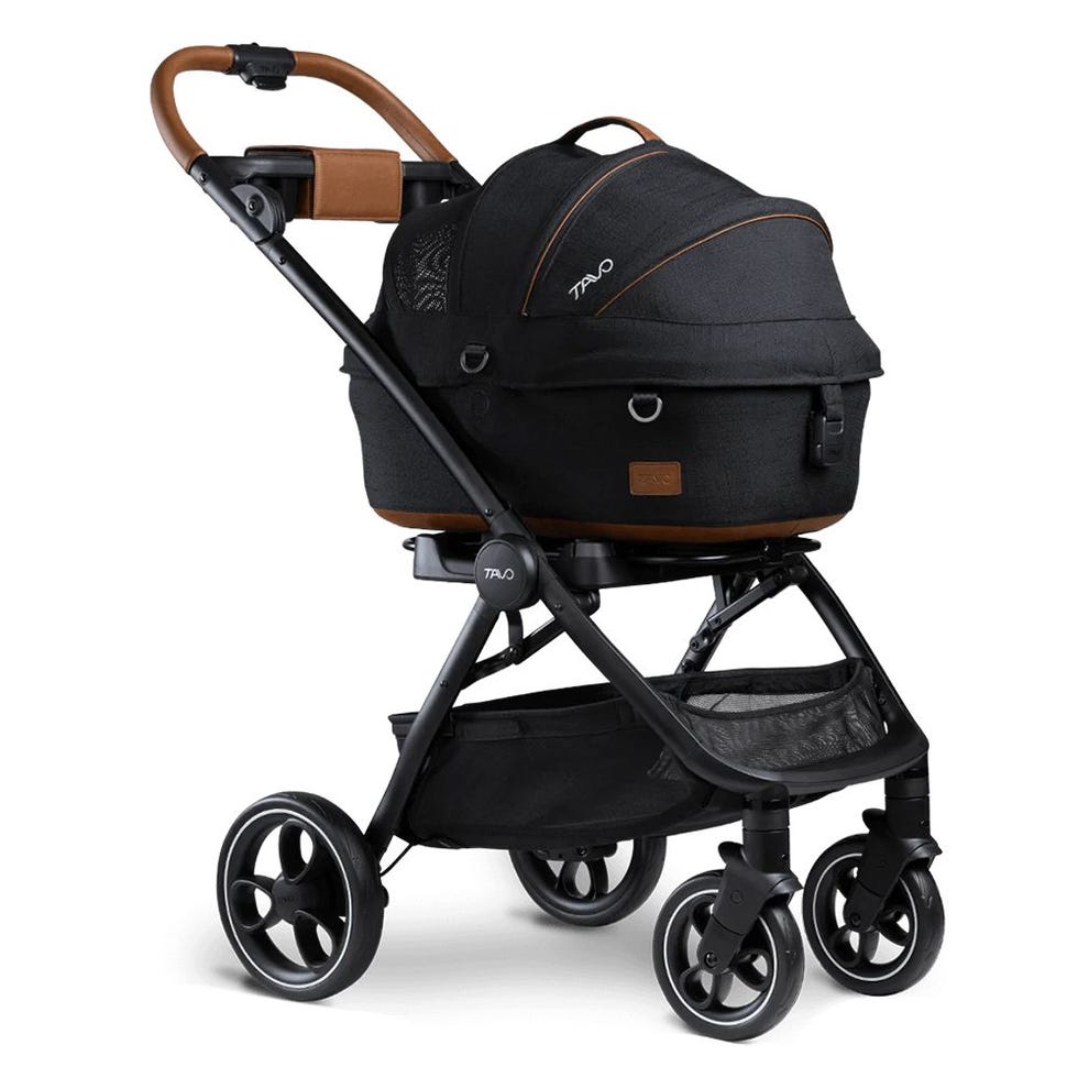 3-in-1 Pet Stroller & Car Seat 3-in-1 Pet Stroller & Car Seat