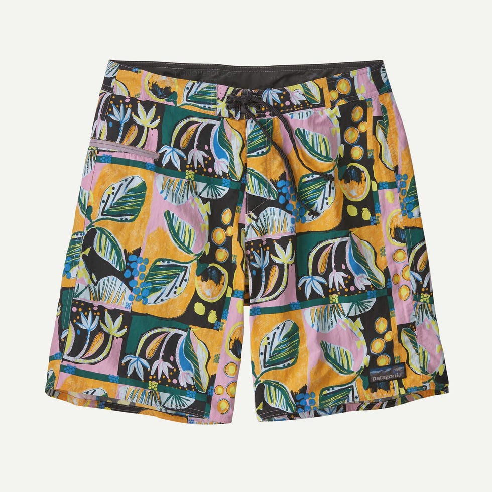 Men’s 19-Inch Wavefarer Boardshorts