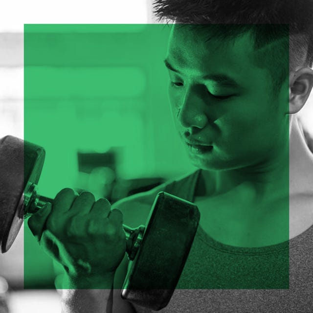 beginners guide to muscle