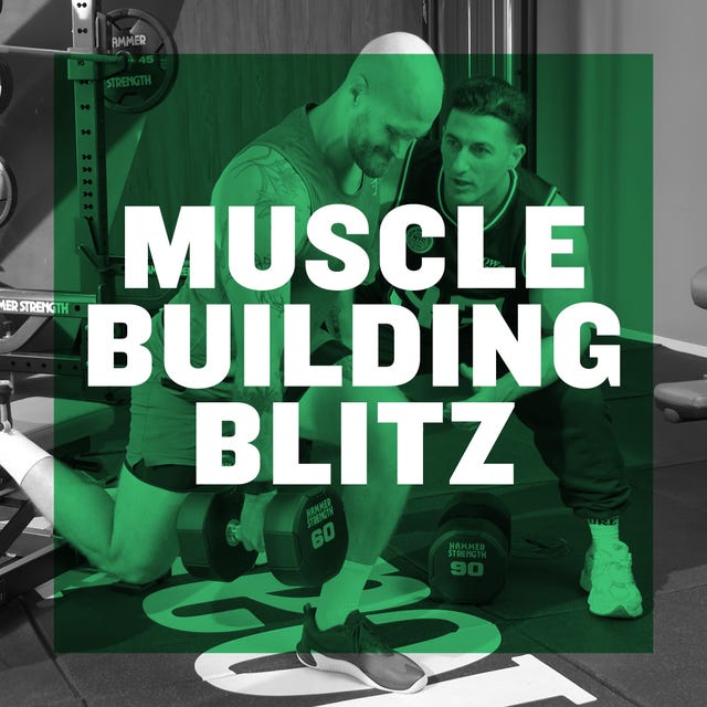 muscle building blitz