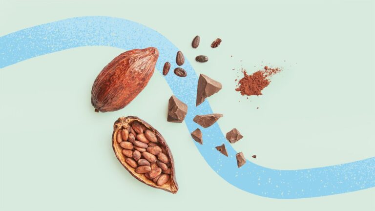 Could Cocoa Supplements Combat Heart Disease and Promote Longevity?
