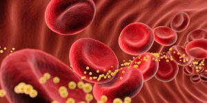 How Long Does It Take to Lower Cholesterol? Cardiologists Have the Exact Numbers.