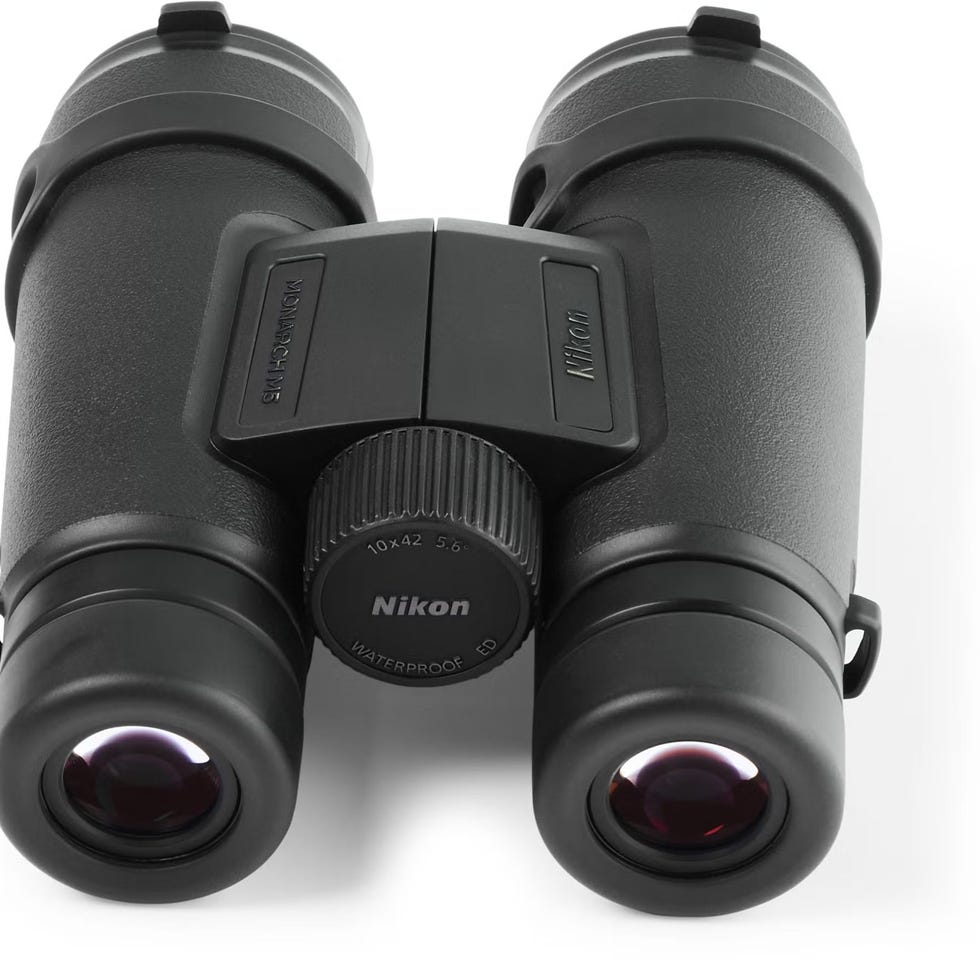 Monarch M5 10 x 42 Binoculars
