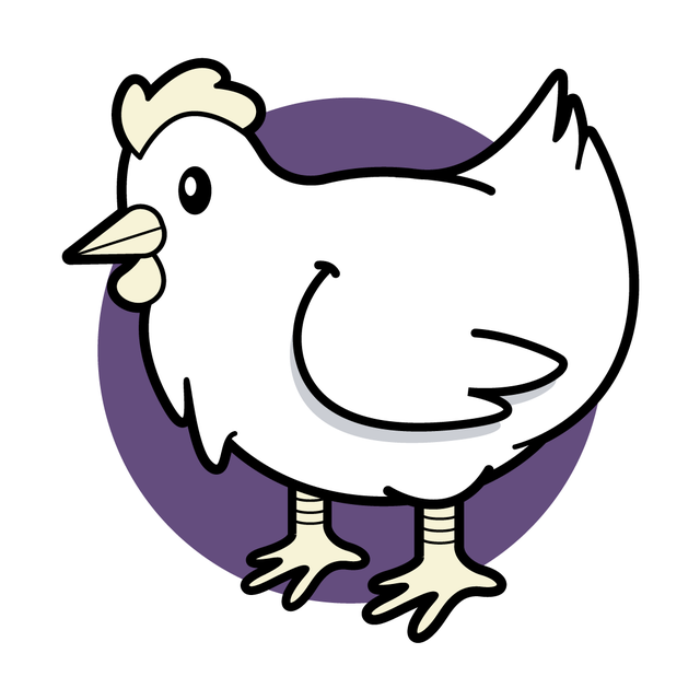 pet chicken