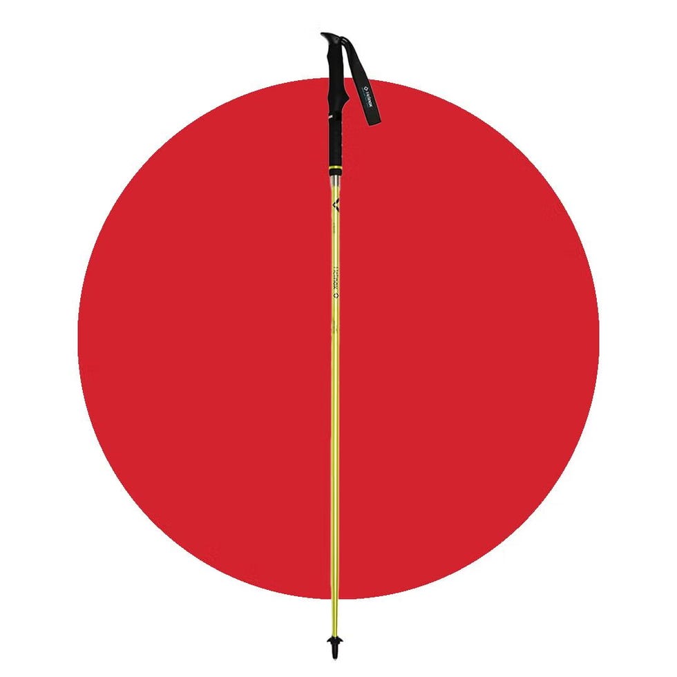 Passport TL115 Trekking Poles