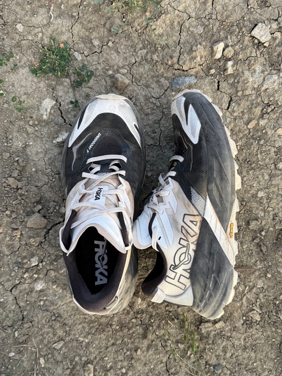 A pair of worn black and white running shoes on cracked earth with small green plants nearby.