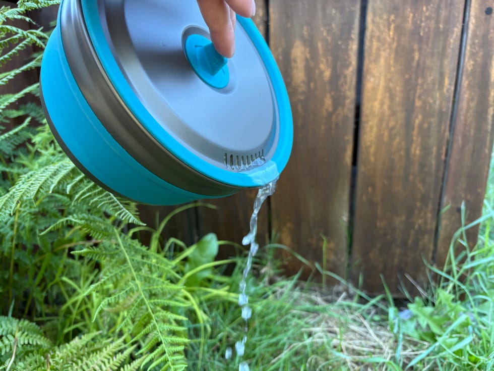 A hand tilting a blue container to pour water, with ferns and wooden background visible.