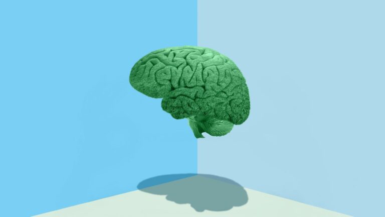 Our Brains Go Through 5 Distinct Phases — and Adulthood Doesn’t Start Until Our 30s