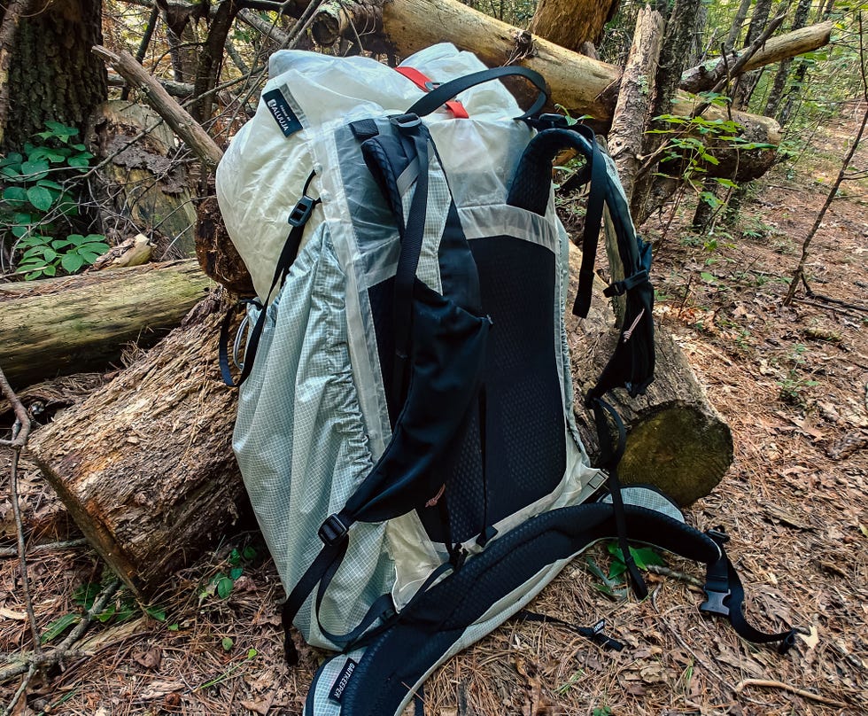 A lightweight backpack resting against fallen logs in a forest setting.